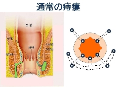 スライド10.JPG