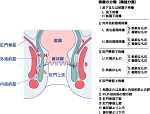 隅越分類.gif